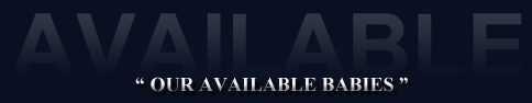 Available