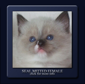 Available: Coco girl 