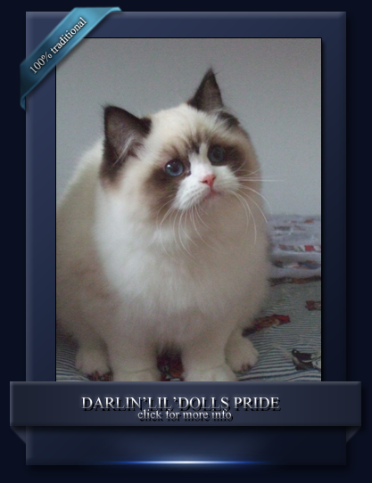 Darlin'lil'Dolls Pride
