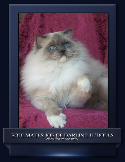 Darlin'lil'Dolls Joe