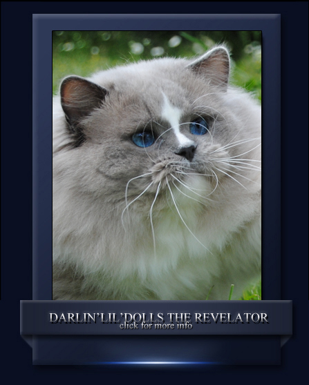 Darlin'lil'Dolls The Revelator