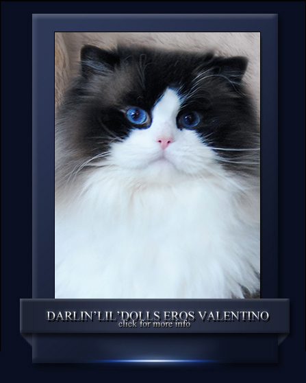 Eros Valentino