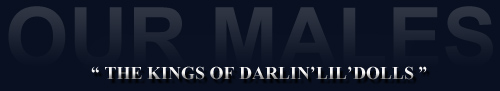 Males