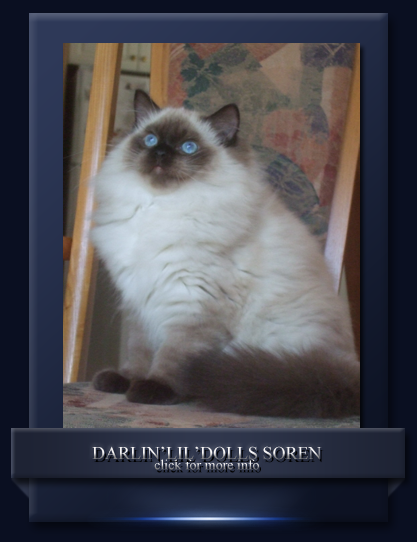 Darlin'lil'Dolls Soren